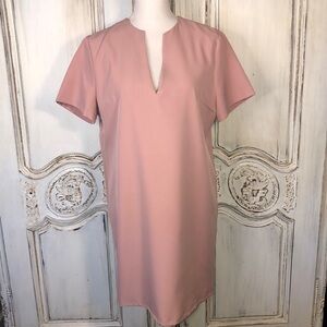 AEL Amy Enjoy Life Minimalist Short Sleeved Deep V Neck Full Cut Sheath Dress